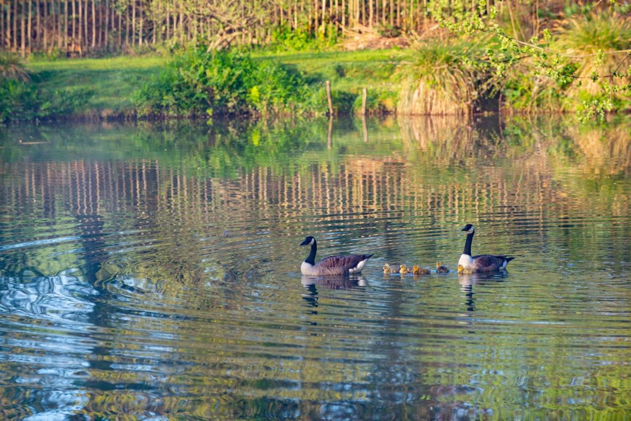Beautiful Willow Lodge 67-4-6 Persons-Private Hot Tub-Pet Friendly-Tranquil Holiday Away From It All Yet Not Far To St Austell-The Holiday Home Has Two Bedrooms, Living & Dining Area, Equipped Kitchen -Decking-Al Fresco Dining-Fishing Lakes-Pet Frien Grampound Екстериор снимка