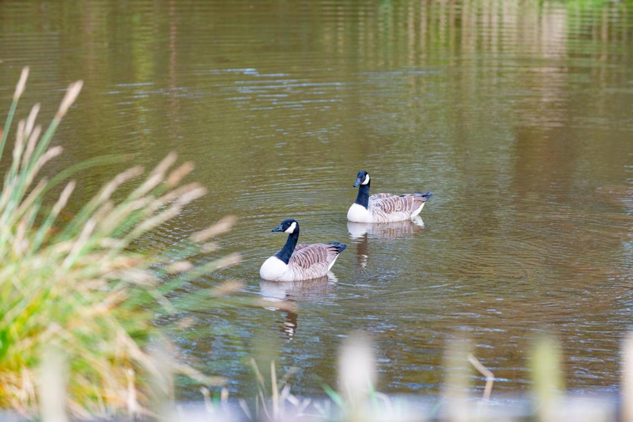 Beautiful Willow Lodge 67-4-6 Persons-Private Hot Tub-Pet Friendly-Tranquil Holiday Away From It All Yet Not Far To St Austell-The Holiday Home Has Two Bedrooms, Living & Dining Area, Equipped Kitchen -Decking-Al Fresco Dining-Fishing Lakes-Pet Frien Grampound Екстериор снимка